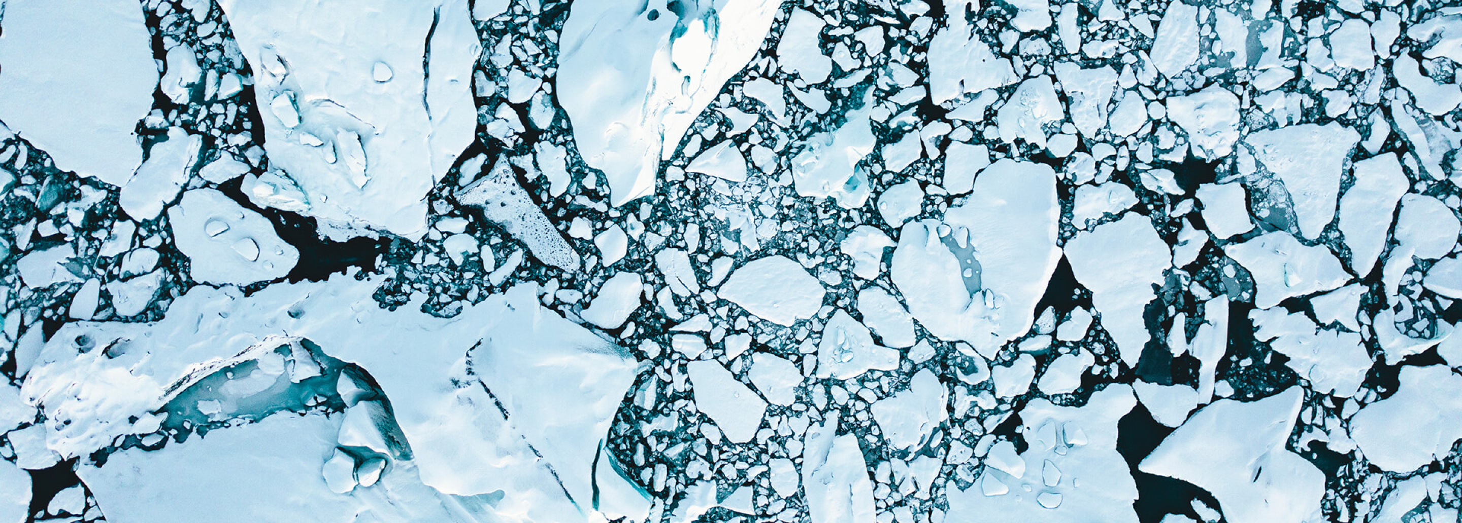 AdobeStock 295622062 12_