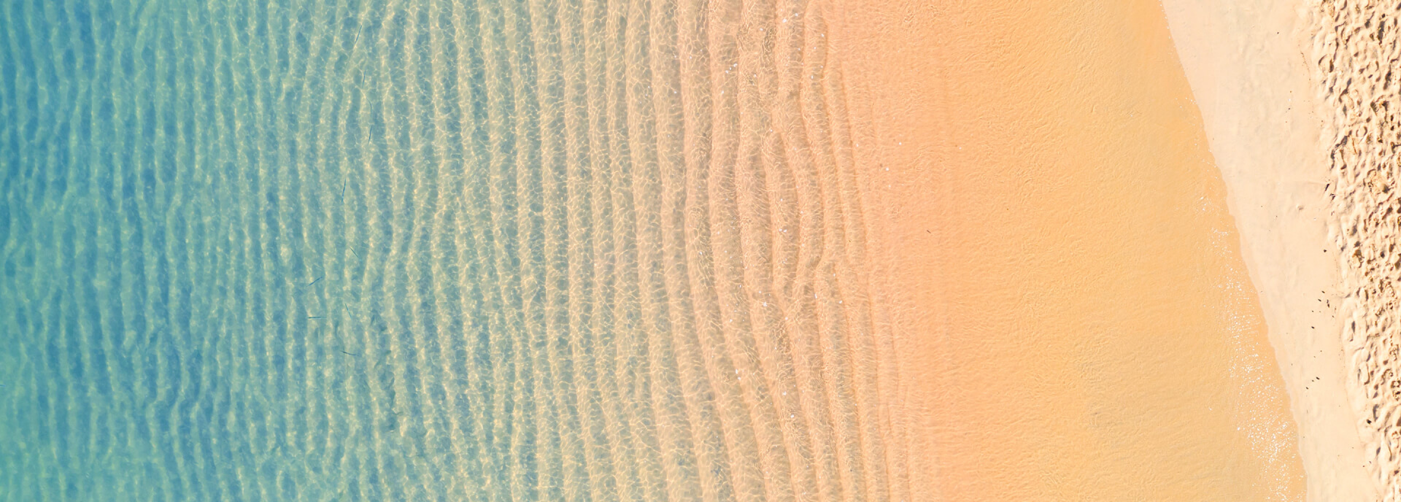 AdobeStock 295622062 4_