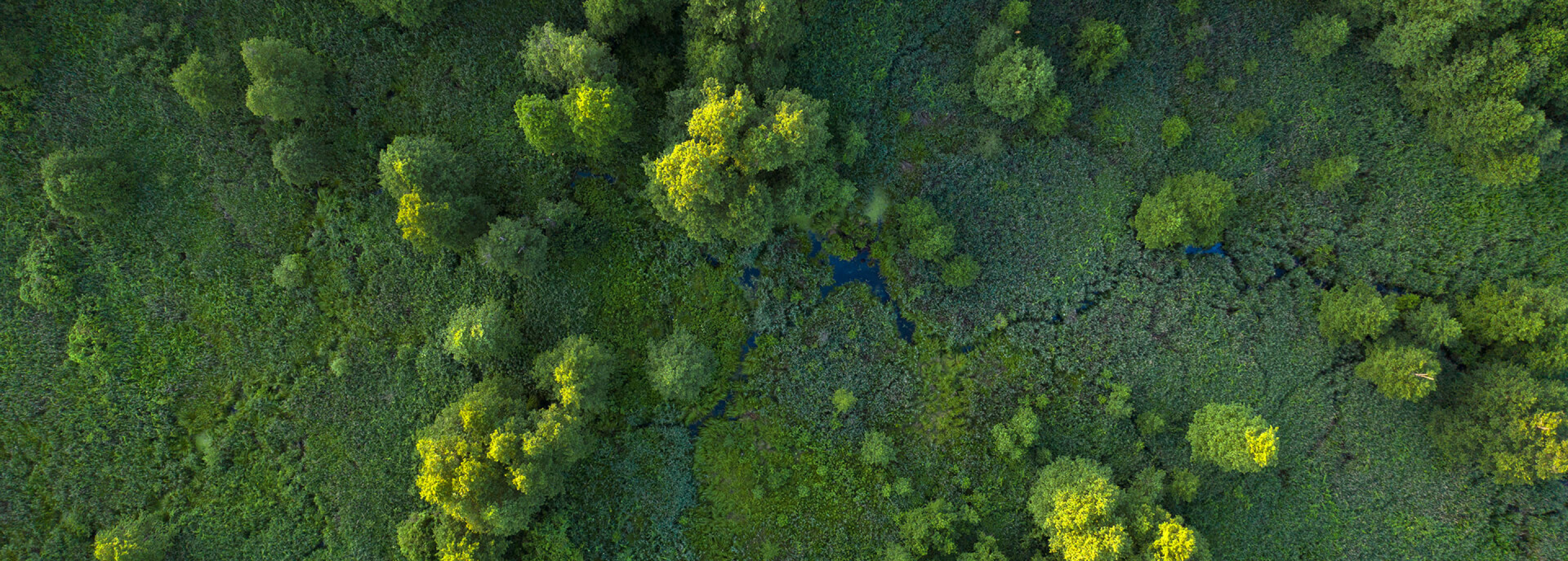 AdobeStock 295622062 